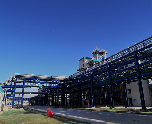 液壓機和杠鈴機哪個好學